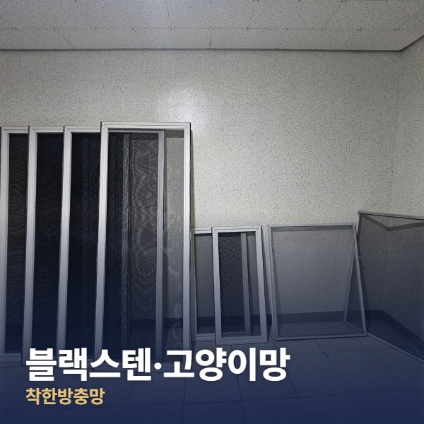 강북구 블랙스텐·고양이망