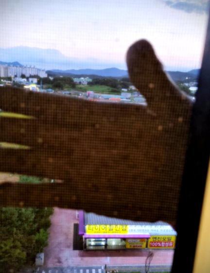 강북구 번동 방충망 교체 시공 사진 2